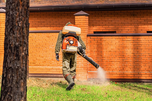 Bed Bug Clearance Verification and Documentation in Lindstrom